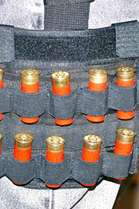 holster30.jpg (34036 bytes)